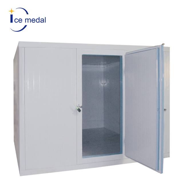 Icemedal 步入式冷冻柜 20 英尺集装箱冷藏室集装箱 Chambre Froide 出售