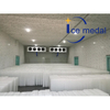 Icemedal IMB10 10吨块冰机雕塑鱼用块冰机制造商