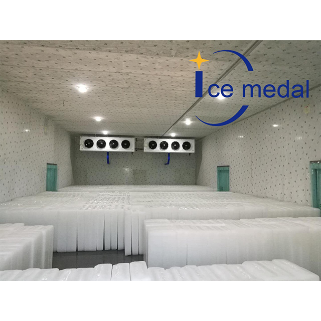 Icemedal IMB10 10吨块冰机雕塑鱼用块冰机制造商