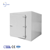 Icemedal 步入式冷冻柜 20 英尺集装箱冷藏室集装箱 Chambre Froide 出售