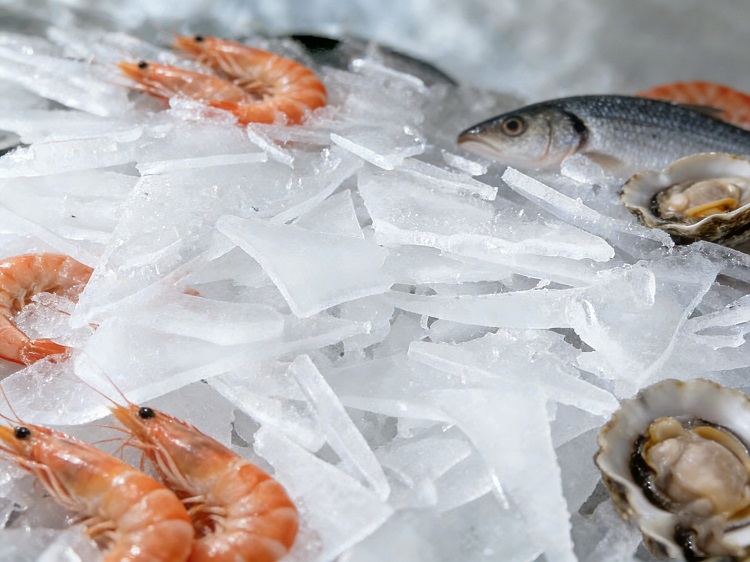 flake ice for seafood preservation 1