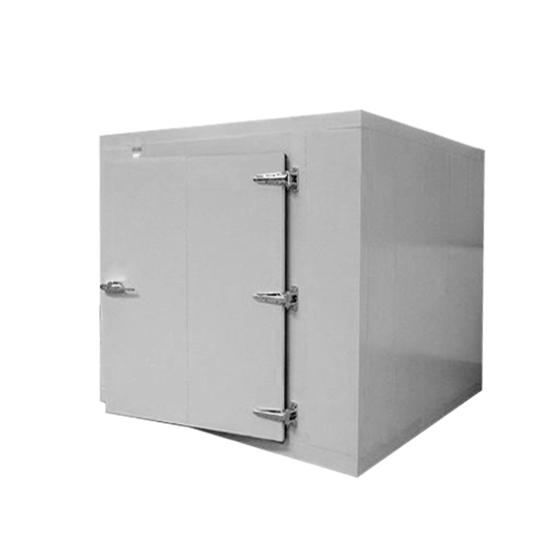Icemedal 可定制尺寸的集装箱冷藏室，带冷藏室面板，适用于肉类和鱼类，可在冰箱中行走